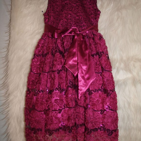 Girl's DRESS Pink With Sparkly Flower Detail SIZE 6 BY SPECIAL EDITIONS USEDONCE - Picture 5 of 5